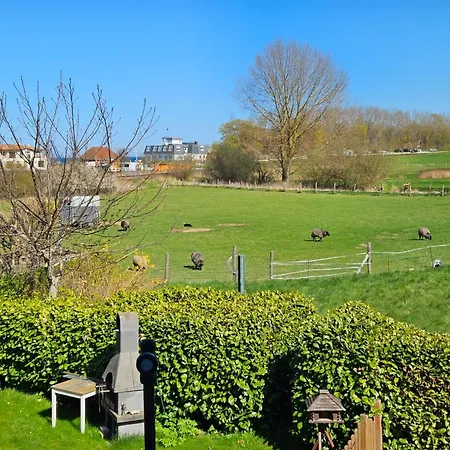 Kapitaenshaus Backbord- 63-02 Kühlungsborn